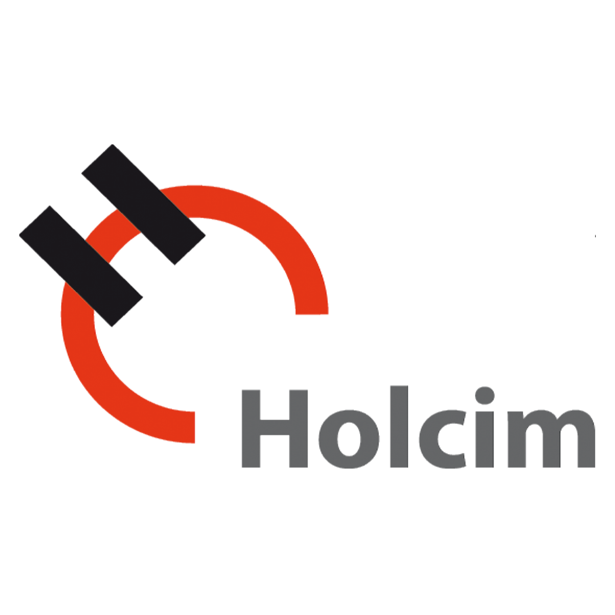 www.holcim.it